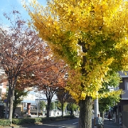 もうおわりです